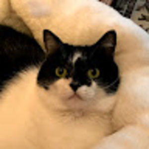 Meet your Posher, Therese